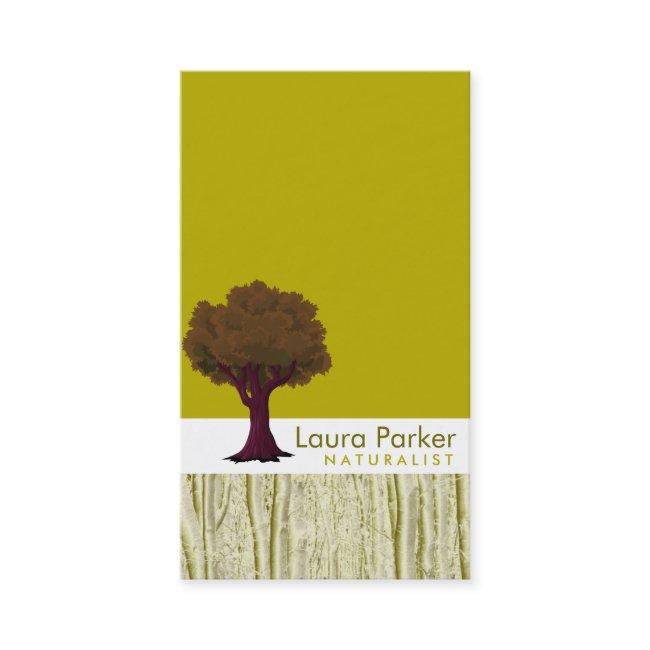Natural Forest Gold Tree Care Landscape Lawn