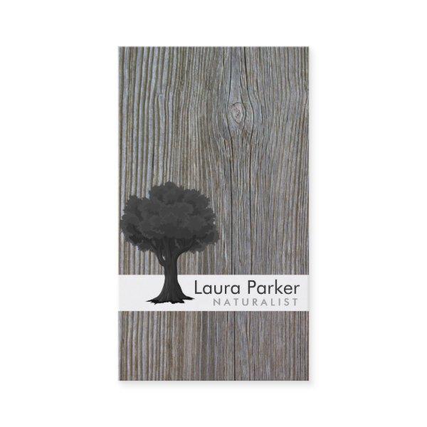 Natural Forest Gray Tree Care Landscape Lawn