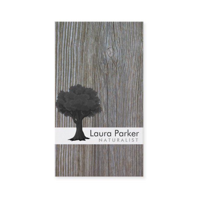 Natural Forest Gray Tree Care Landscape Lawn