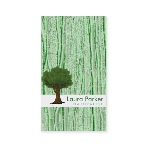 Natural Forest Green Tree Care Landscape Lawn