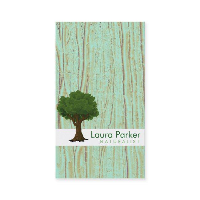 Natural Forest Green Tree Care Landscape Lawn