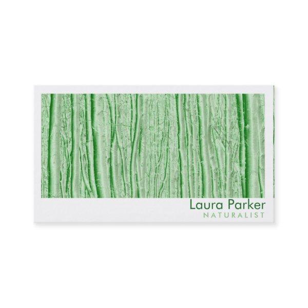 Natural Forest Green Tree Care Landscape Lawn