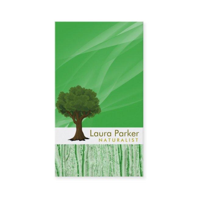 Natural Forest Green Tree Care Landscape Lawn