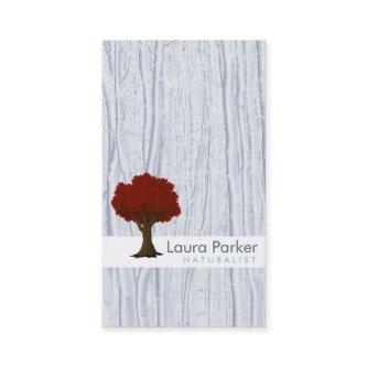 Natural Forest Silver Tree Care Landscape Lawn