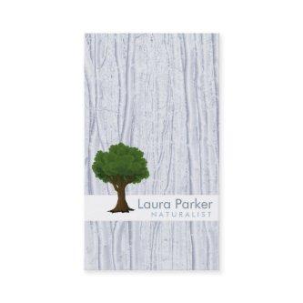 Natural Forest Silver Tree Care Landscape Lawn