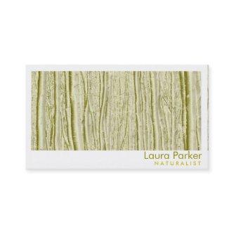 Natural Forest Yellow Tree Care Landscape Lawn