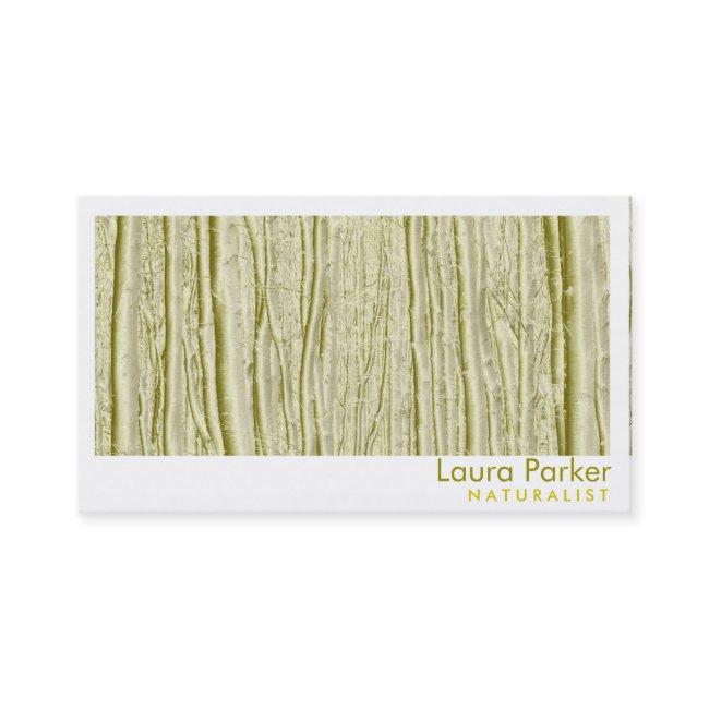 Natural Forest Yellow Tree Care Landscape Lawn