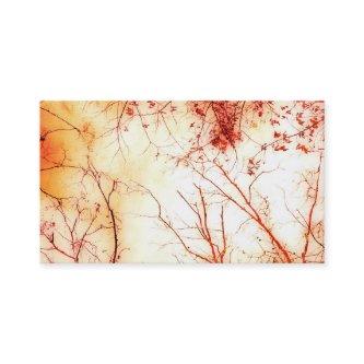 nature art  template autumn trees