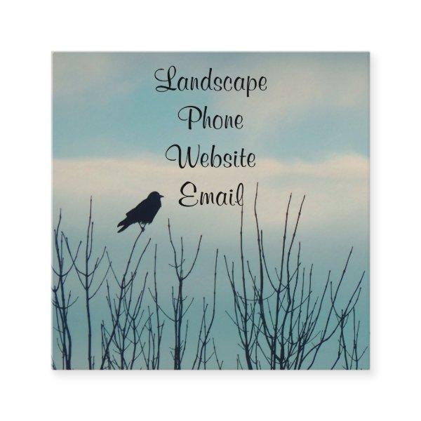 Nature Bird Square