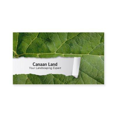 Nature Customizable Leaf Closeup