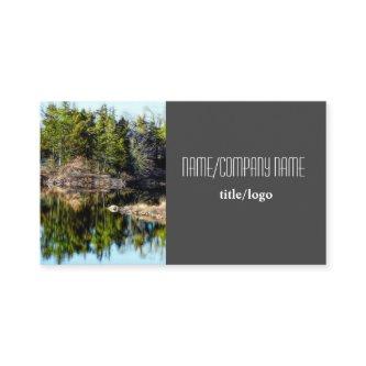 nature photography pine trees water reflection