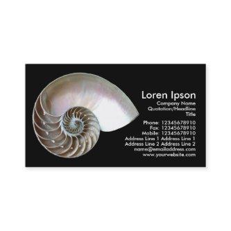 Nautilus Shell - Black