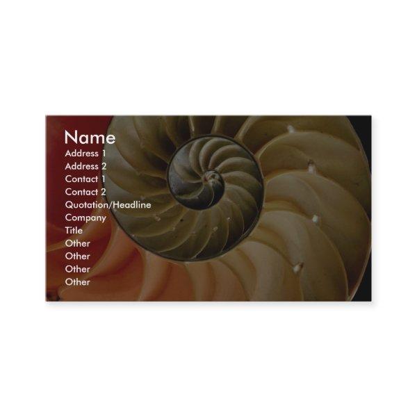 Nautilus shell Photo