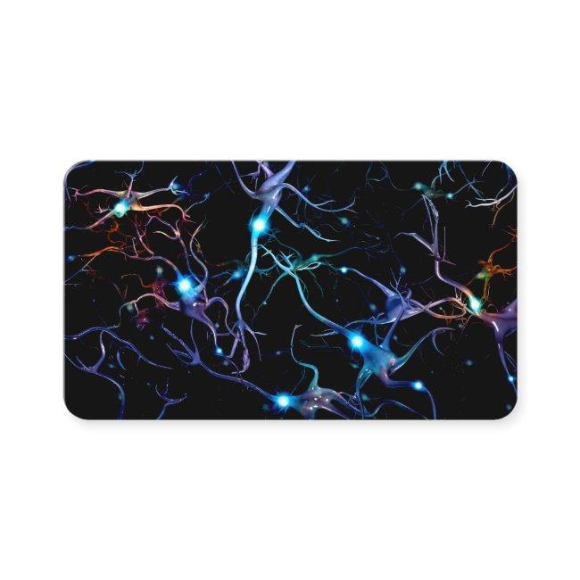 Neurons