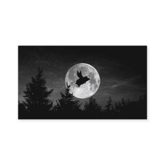 night of the flying pig