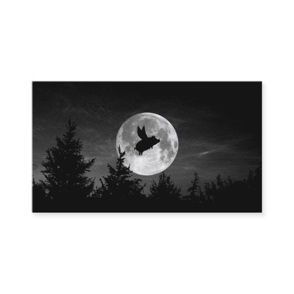 night of the flying pig