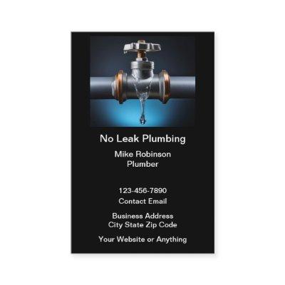 No Leaking Pipes Plumber Service
