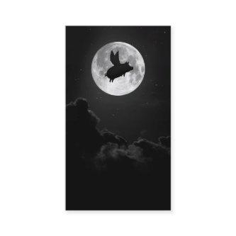 nocturnal flying pig