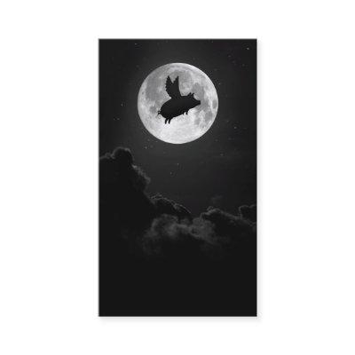 nocturnal flying pig