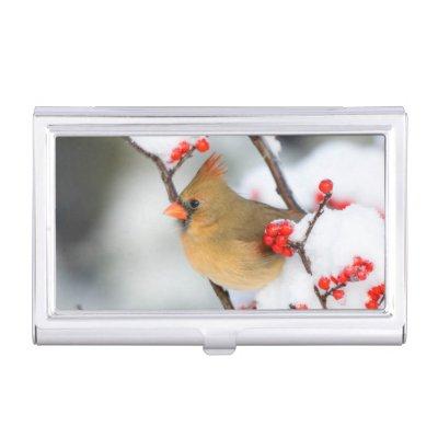 Northern Cardinal female on Common Winterberry Case For