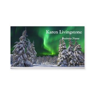 Northern lights during winter