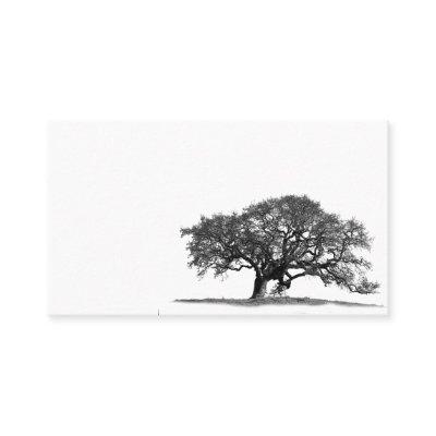 OAK TREE