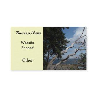 Oceanview with Unique Tree