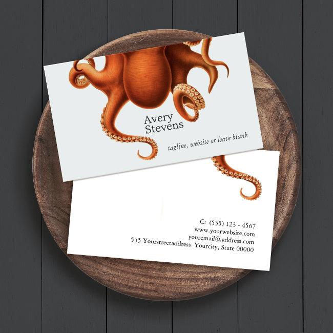 Octopus Marine Biology Nautical