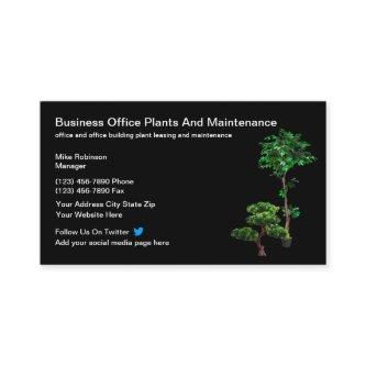 Office Plant Maintenance And Leasing