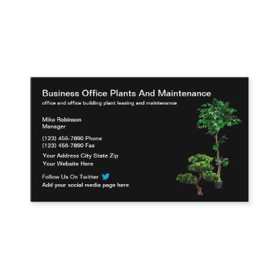 Office Plant Maintenance And Leasing