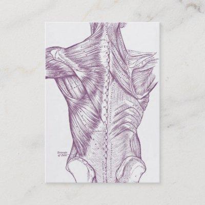 Old anatomy art muscles of the back purple (1890)