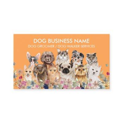 Orange Dogs Cats Breeds Grooming Service