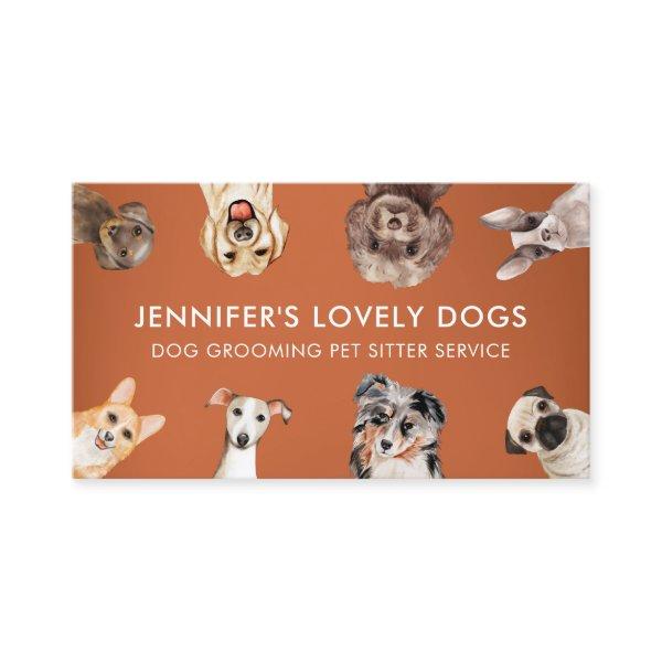 Orange Funny Small Size Dogs Pet Sitter