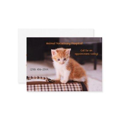 Orange Kitten Pet Care Appointment