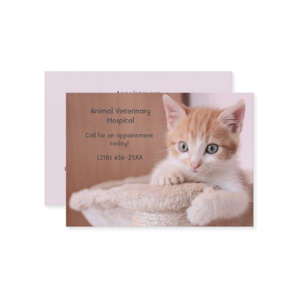Orange Kitten Pink Pet Care Appointment