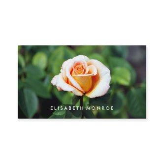 Orange Rose, Floristry