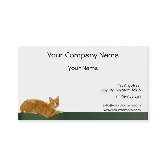 Orange Tabby Cat on Green Fence