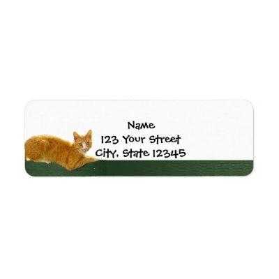 Orange Tabby Cat on Green Fence Label