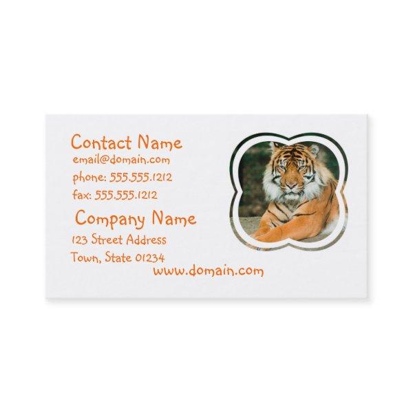 Orange Tiger
