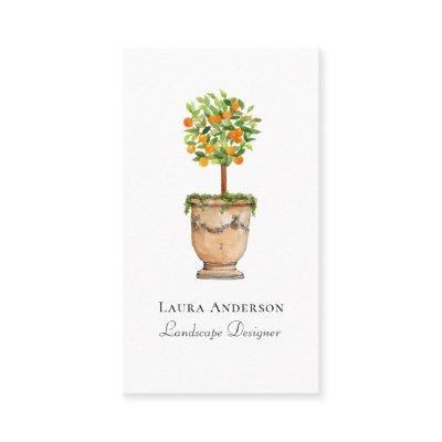 Orange tree citrus topiary Landscaping