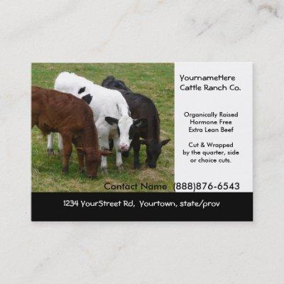 Organic Cattle Beef Ranch or Butcher