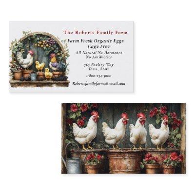 Organic Eggs Farm Chickens