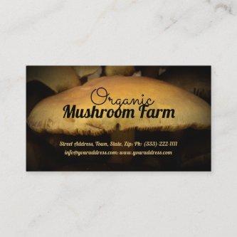Organic Mushroom Farm Buying Selling Points
