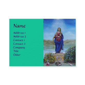 OUR LADY OF LIGHT Madonna of Immaculate Conception