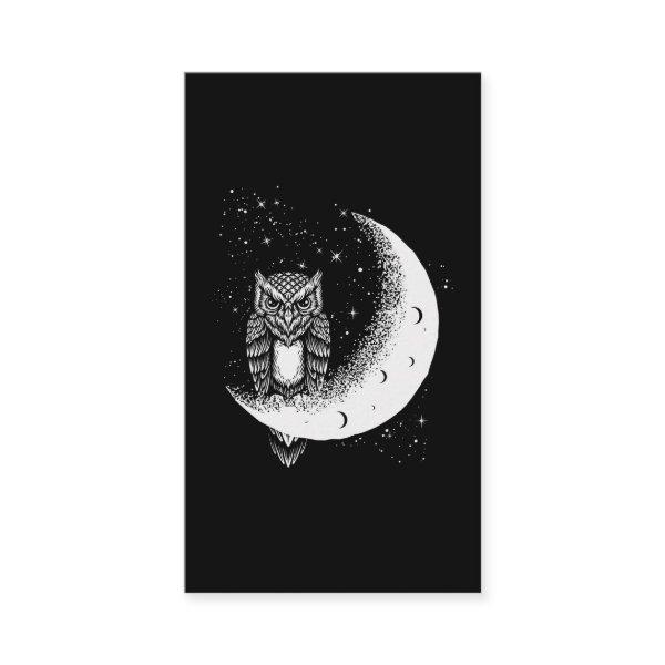 Owl Moon Celestial Bird Crescent
