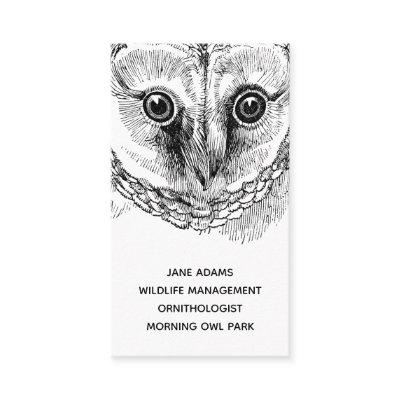 Owl Wildlife Occupation
