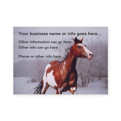 Paint Horse snow