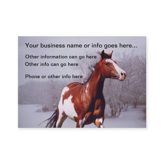 Paint Horse snow