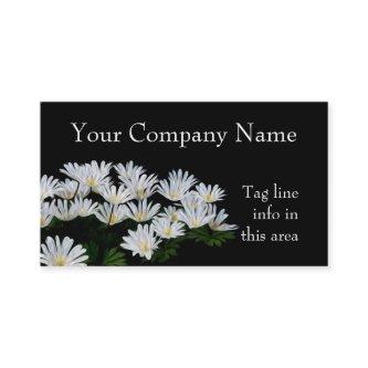 Painted Daisies