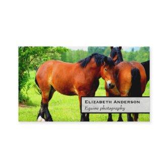 Pair Of Bay Polish Horses | Green Landscape